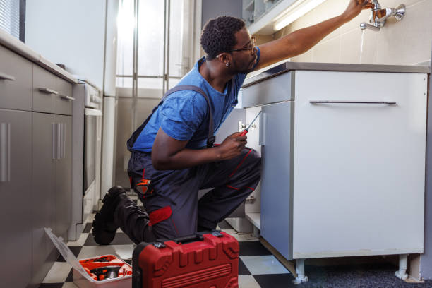 Best Plumbing Inspection Services  in Woodland Park, NE